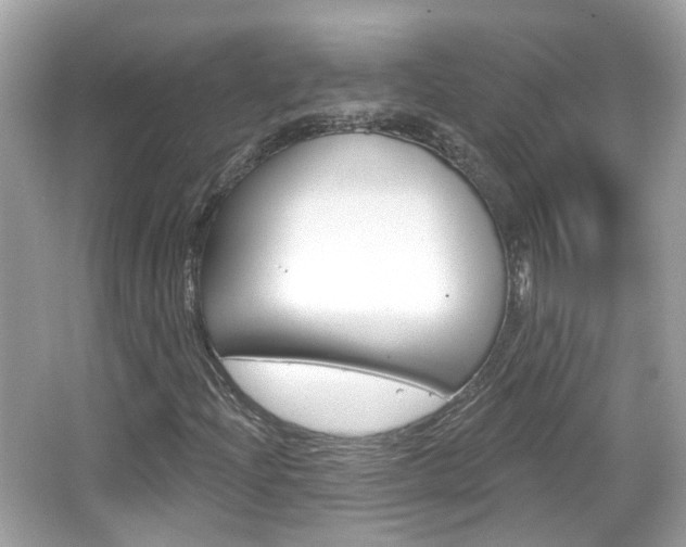 X0000066531204200603171020