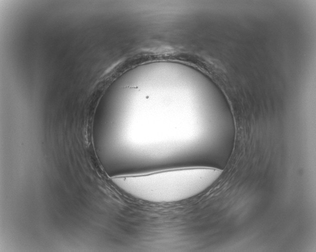 X0000066531205200603171020