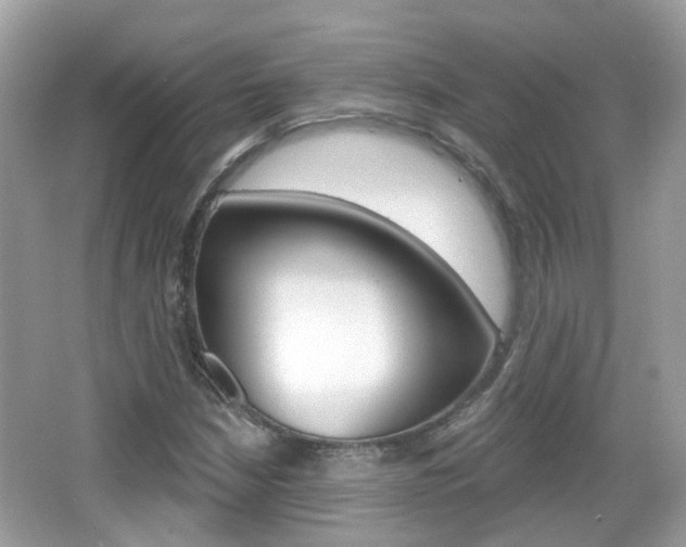 X0000066531210200603171020
