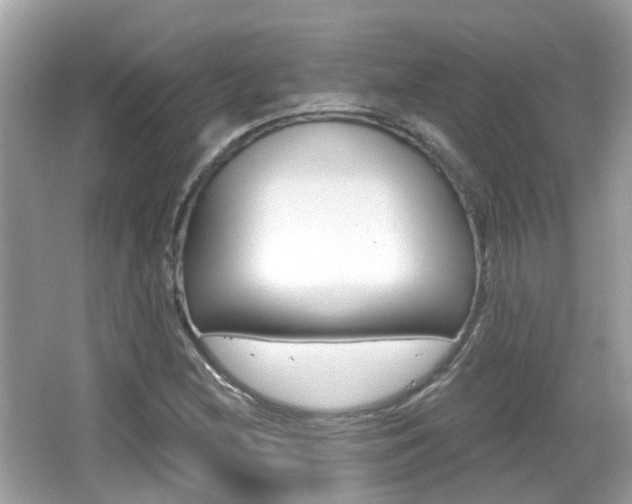 X0000066531212200603171020