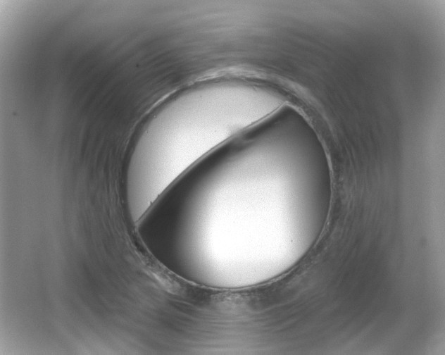 X0000066531217200603171020