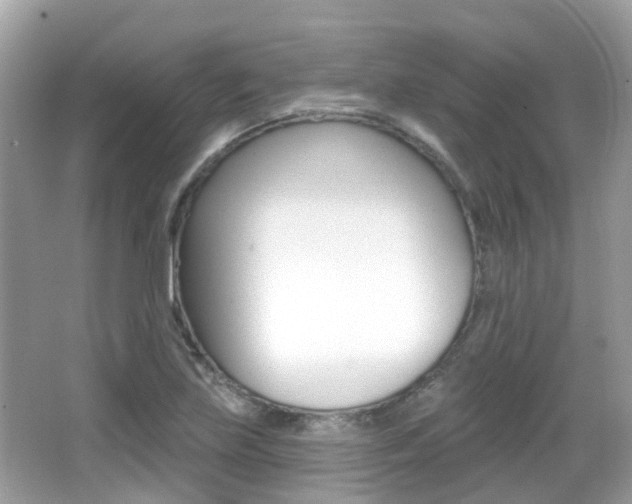 X0000066531219200603171021