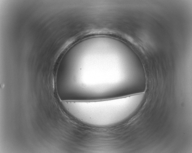 X0000066531221200603171021