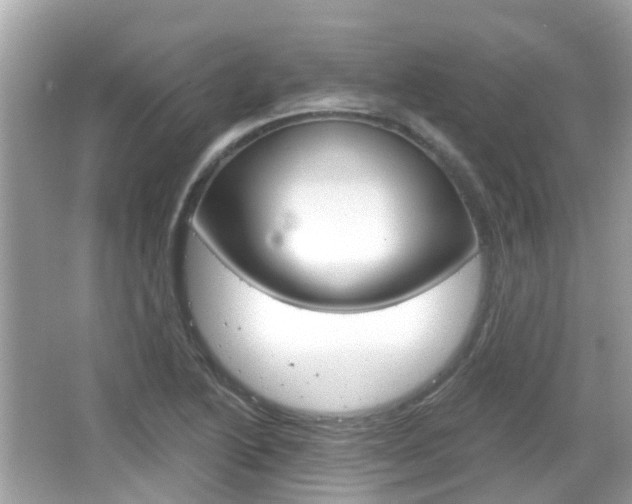 X0000066531222200603171021