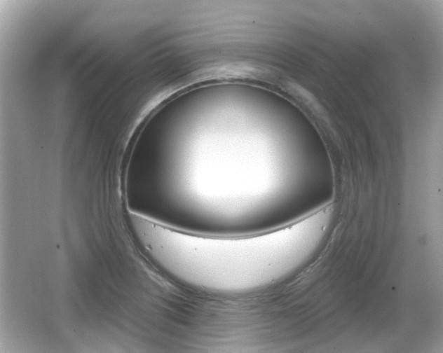 X0000066531226200603171021