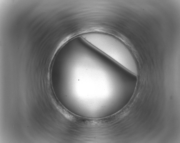 X0000066531234200603171021