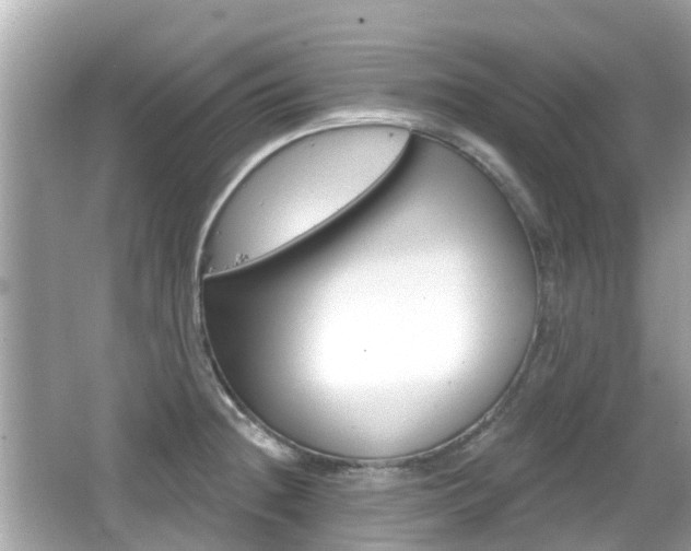 X0000066531236200603171021