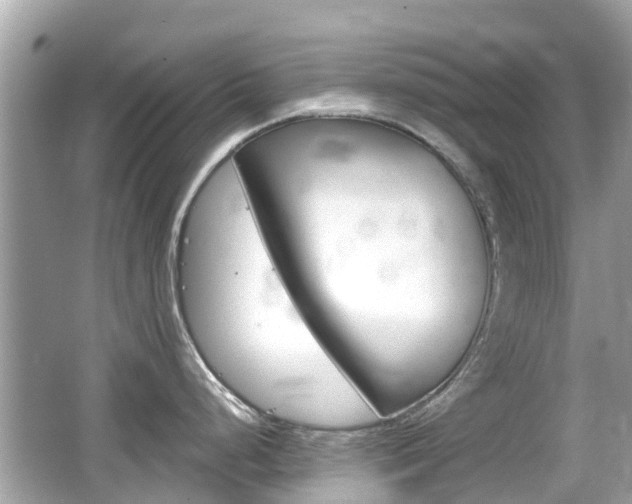 X0000066531248200603171021