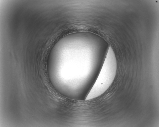 X0000066531249200603171020