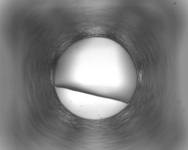 X0000066531251200603171020