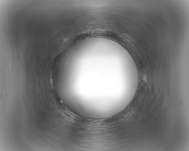 X0000066531252200603171020
