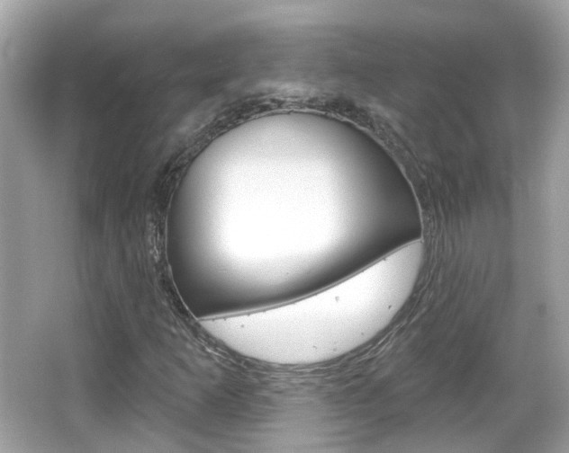 X0000066531253200603171020