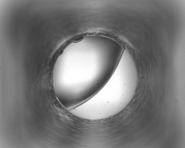X0000066531256200603171020