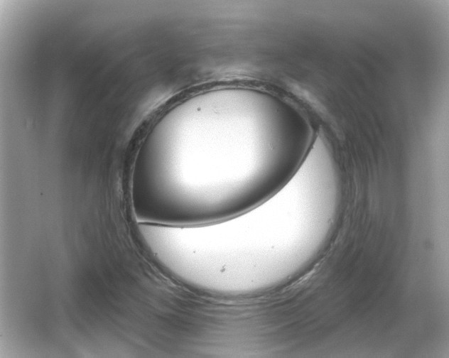 X0000066531261200603171020