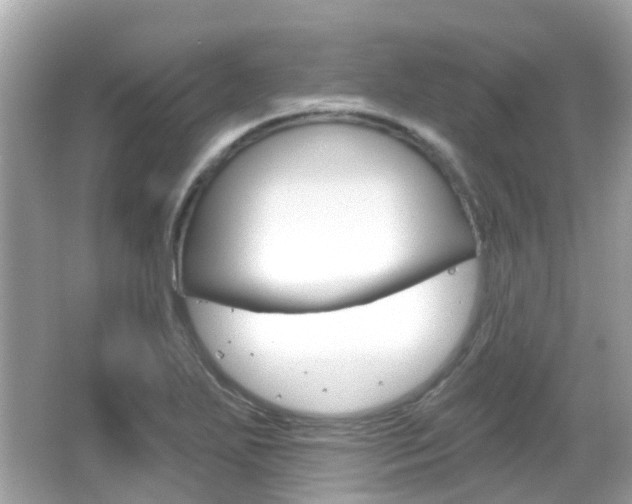 X0000066531271200603171020