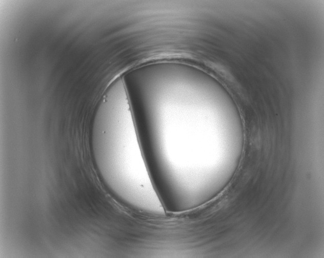 X0000066531273200603171020