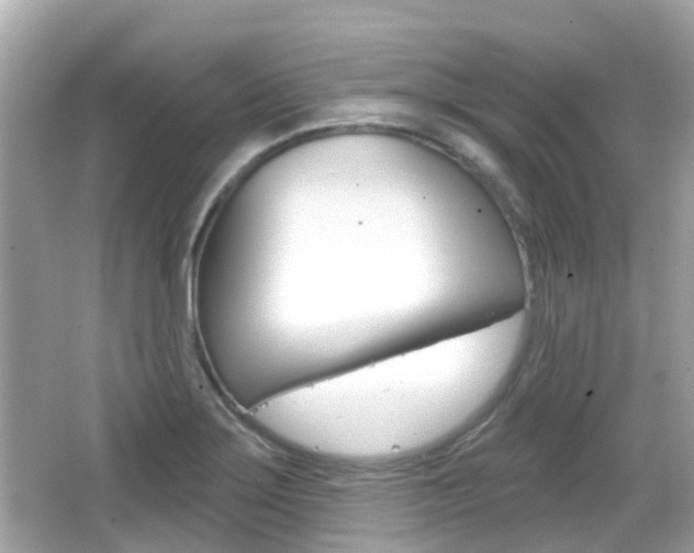 X0000066531275200603171020