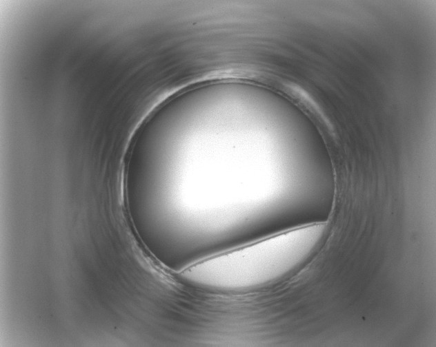 X0000066531276200603171020