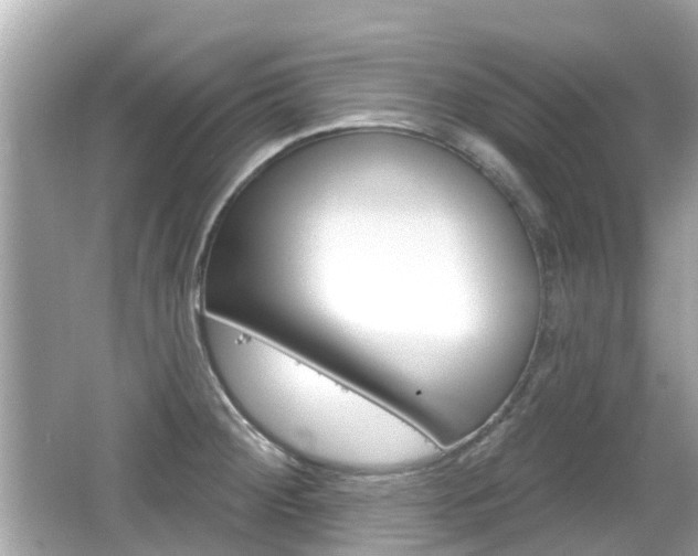X0000066531284200603171020