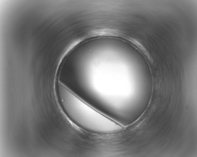 X0000066531285200603171020