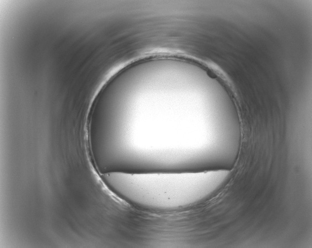 X0000066531287200603171020