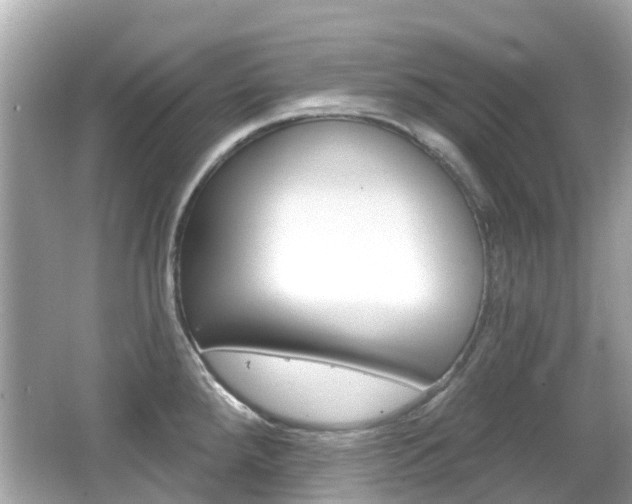 X0000066531288200603171020