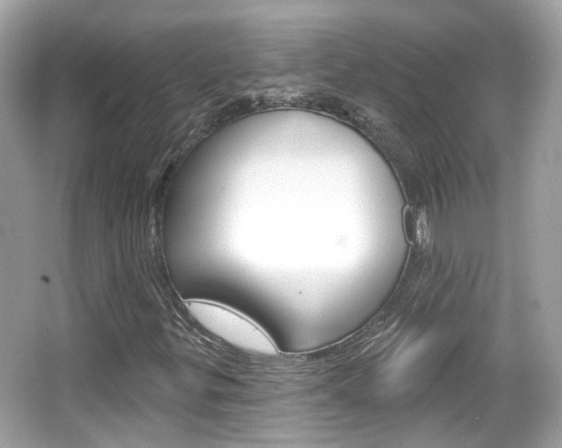 X0000066531299200603171019