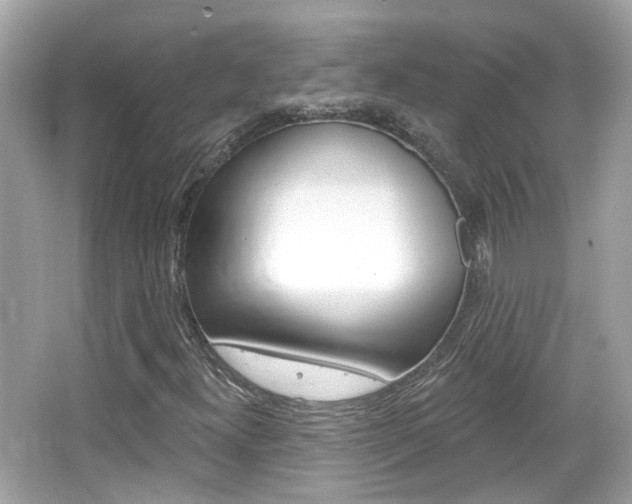 X0000066531300200603171019