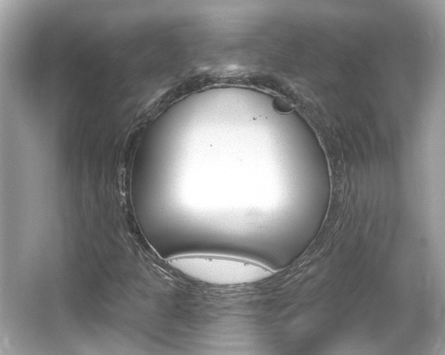 X0000066531301200603171019