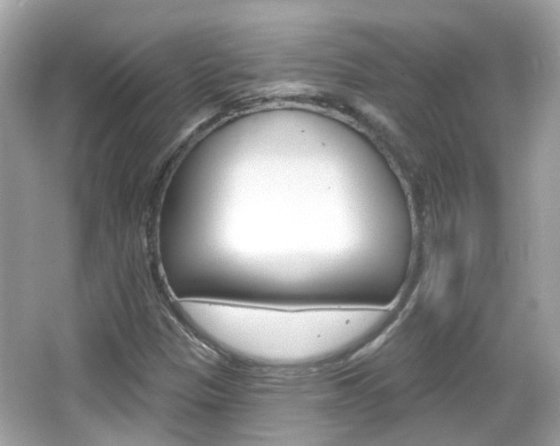 X0000066531305200603171019