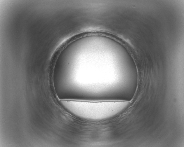 X0000066531311200603171019