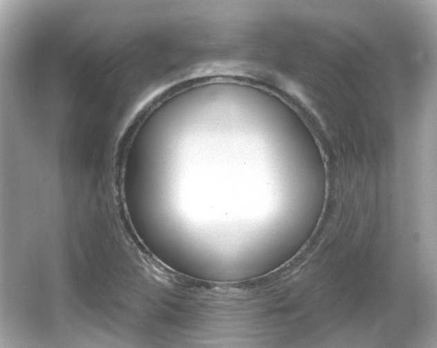 X0000066531312200603171019