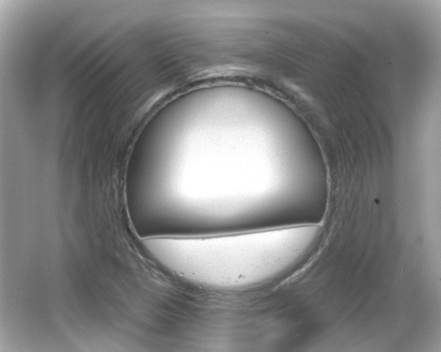 X0000066531313200603171019