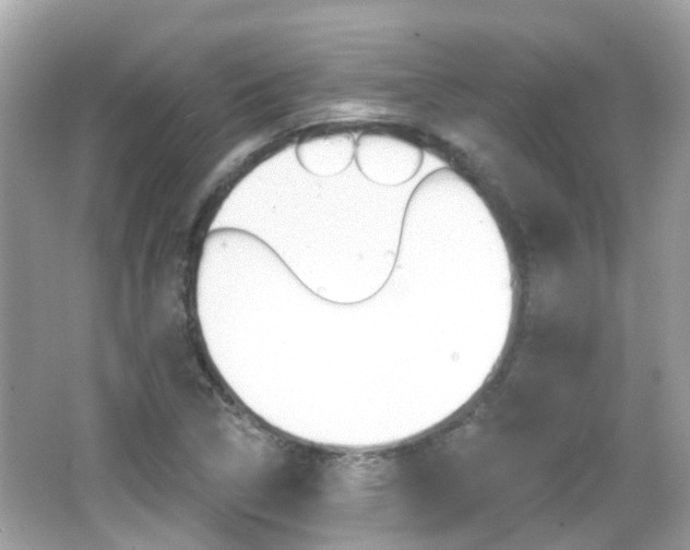 X0000066531314200603171019