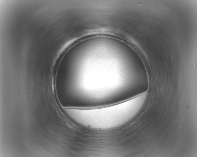 X0000066531320200603171019