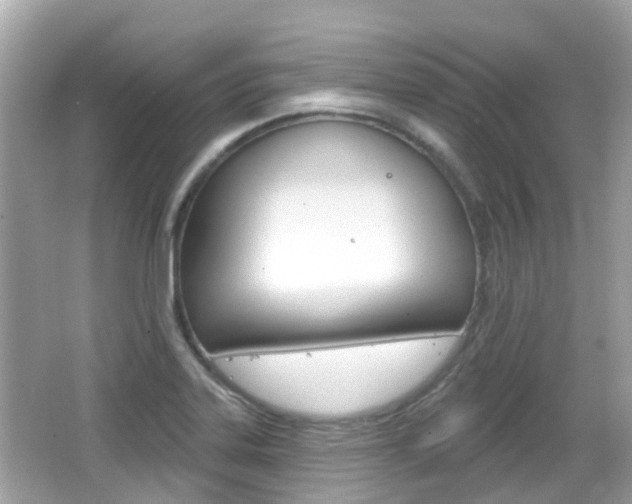 X0000066531323200603171019