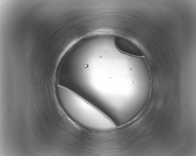 X0000066531325200603171019
