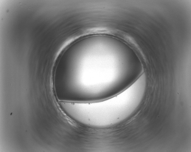 X0000066531328200603171019