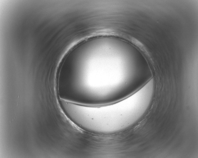 X0000066531334200603171019