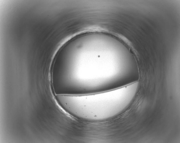 X0000066531335200603171019