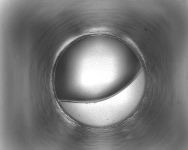 X0000066531336200603171019