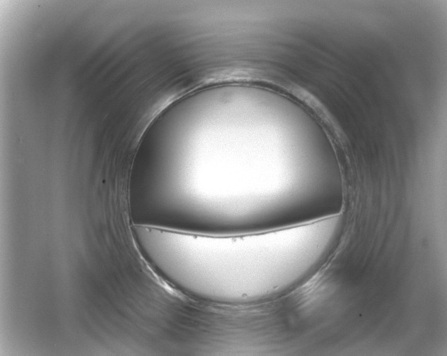 X0000066531337200603171019