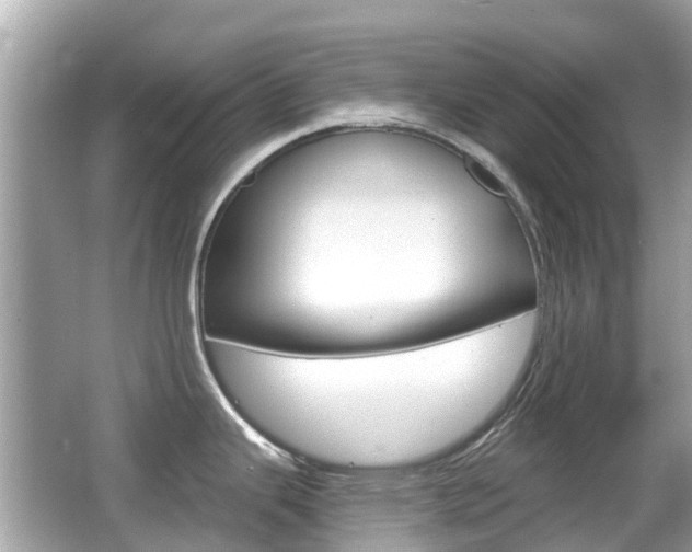 X0000066531343200603171019