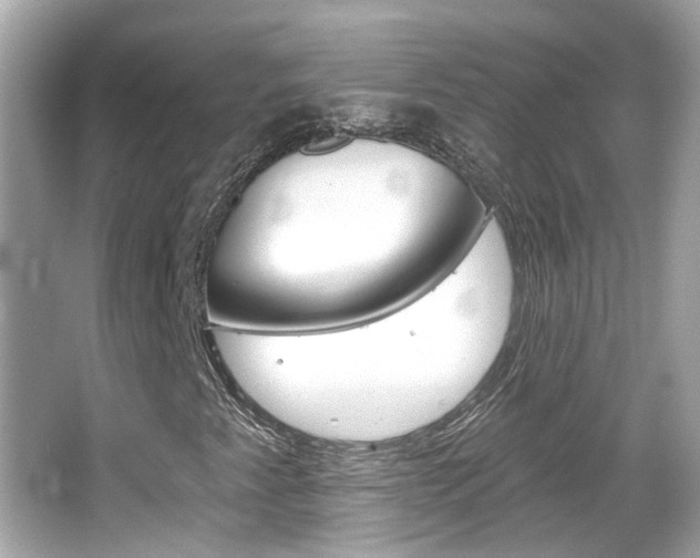 X0000066531345200603171019