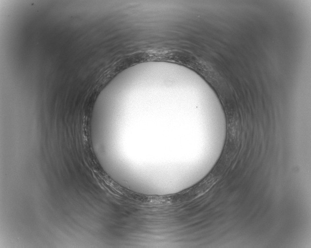 X0000066531346200603171019