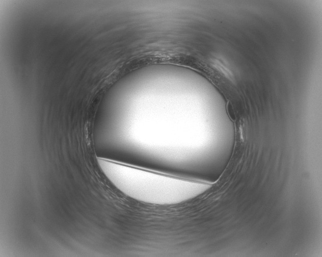 X0000066531347200603171019