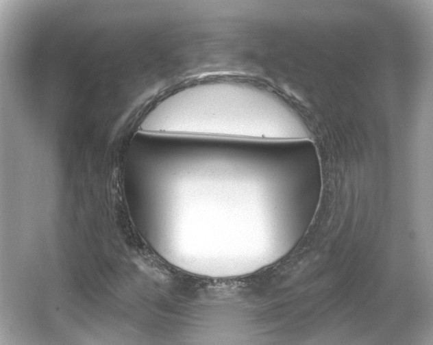 X0000066531351200603171018