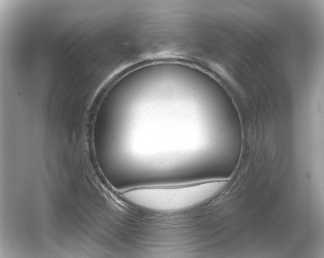 X0000066531356200603171018