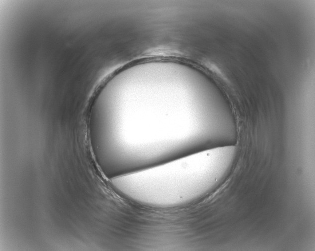 X0000066531358200603171018