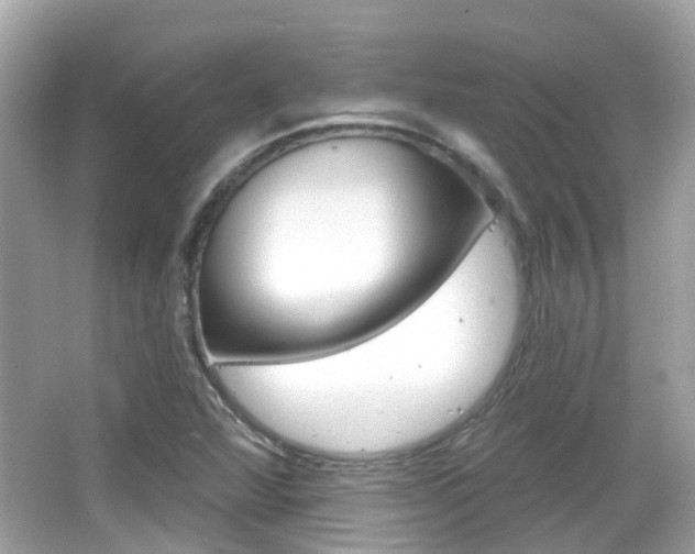 X0000066531360200603171018